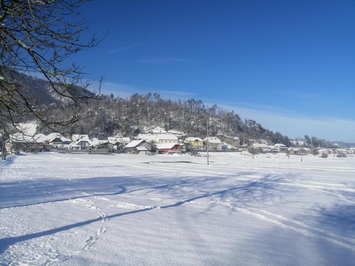 Hisa Haasberg Βίλα Planina  Εξωτερικό φωτογραφία