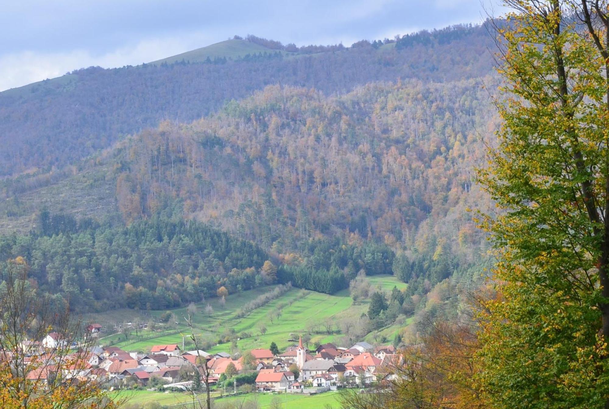 Hisa Haasberg Βίλα Planina  Εξωτερικό φωτογραφία